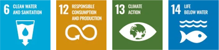 environment principles